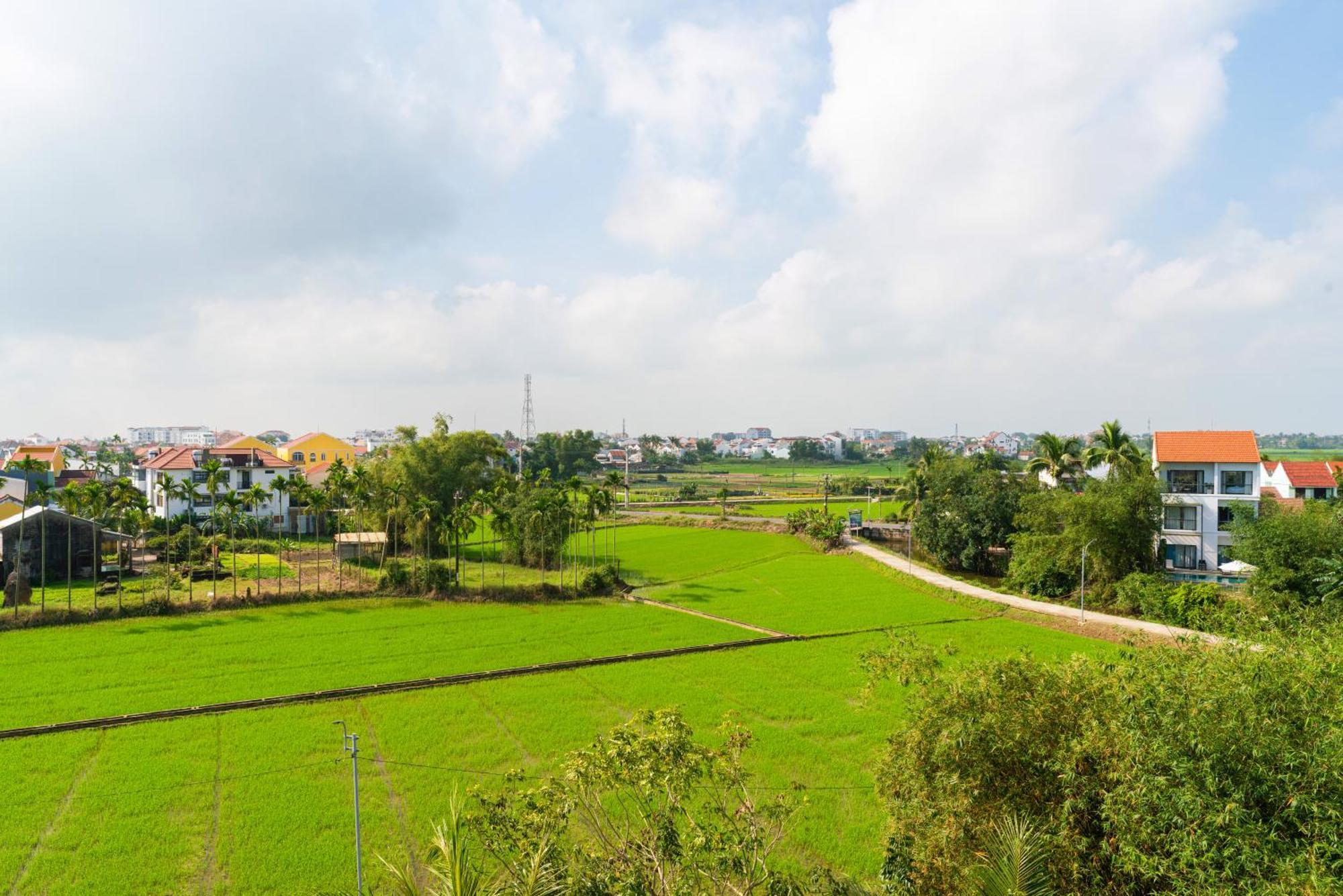Hotel Hoi An Pinus Boutique Tan Thanh Esterno foto