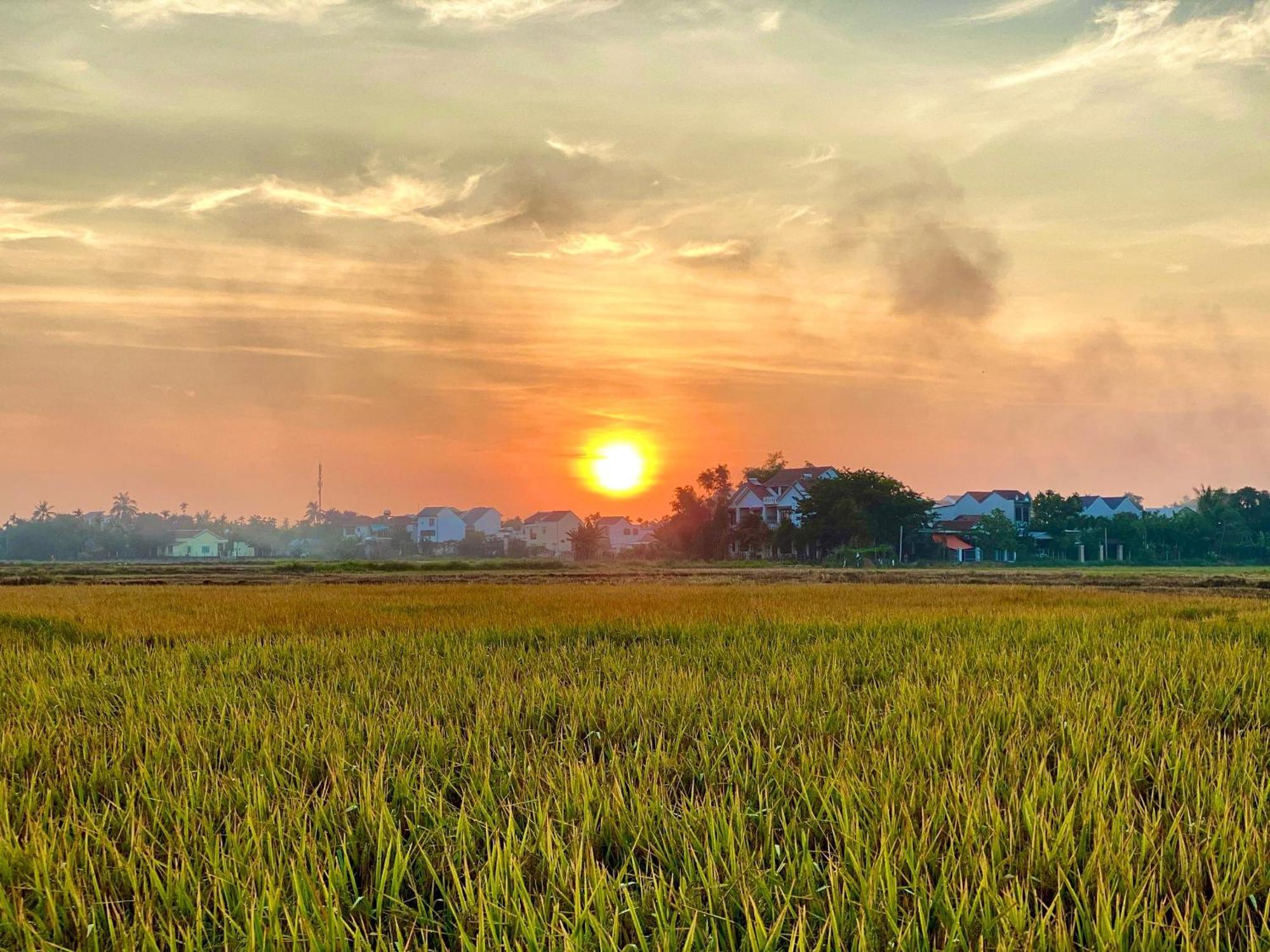 Hotel Hoi An Pinus Boutique Tan Thanh Esterno foto