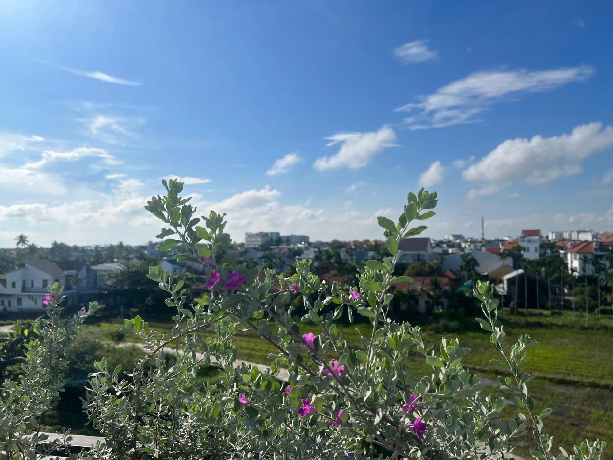 Hotel Hoi An Pinus Boutique Tan Thanh Esterno foto